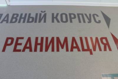 В Башкирии резко подскочил уровень летальности от коронавируса - ufacitynews.ru - Башкирия
