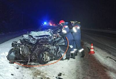 Полиция проводит проверку после смертельного ДТП на трассе А-120 в Ленобласти - online47.ru - Ленинградская обл. - р-н Кировский