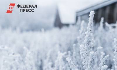 Аномальные морозы движутся на Красноярск - fedpress.ru - Красноярский край - Красноярск