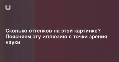 Сколько оттенков на этой картинке? Поясняем эту иллюзию с точки зрения науки - news.tut.by - Австрия - Twitter