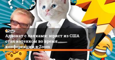 Адвокат с лапками: юрист из США стал котенком во время конференции в Zoom - ridus.ru - США - Техас