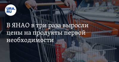 В ЯНАО в три раза выросли цены на продукты первой необходимости - ura.news - Салехард - окр. Янао