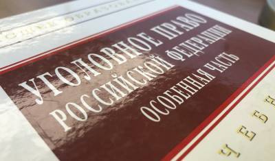 В Тюмени против компьютерного мошенника возбудили два уголовных дела - nashgorod.ru - Тюмень
