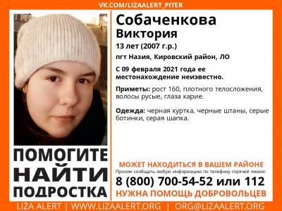 В Назии без вести пропала 13-летняя девочка - ivbg.ru - Ленобласть