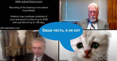«Я не кот»: адвокат из США предстал в суде в необычном образе - pravo.ru - США - Техас