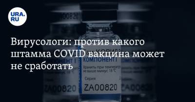 Николай Малышев - Анатолий Альтштейн - Вирусологи: против какого штамма COVID вакцина может не сработать - ura.news - Москва - Англия - Бразилия - Юар