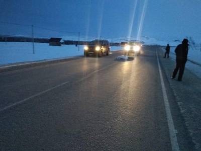 В Башкирии мужчина насмерть переехал лежащего на дороге человека - news102.ru - Башкирия