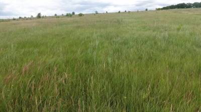 На публичной кадастровой карте появятся неэффективные земли Воронежской области - vestivrn.ru - Воронеж - респ. Татарстан - Воронежская обл. - Псковская обл. - Пермский край - Самарская обл.