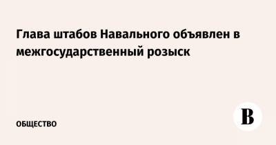 Алексей Навальный - Леонид Волков - Глава штабов Навального объявлен в межгосударственный розыск - vedomosti.ru
