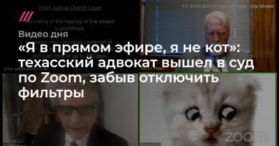 «Я в прямом эфире, я не кот»: техасский адвокат вышел в суд по Zoom, забыв отключить фильтры - tvrain.ru - Москва