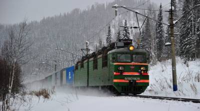 В Кировском районе грузовой поезд насмерть сбил пенсионерку - ivbg.ru - Ленинградская обл. - р-н Кировский