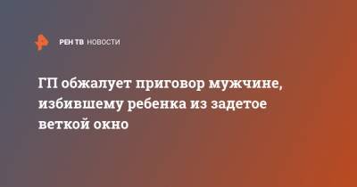 Руслан Галиев - ГП обжалует приговор мужчине, избившему ребенка из задетое веткой окно - ren.tv - респ. Татарстан - Набережные Челны - Набережные Челны