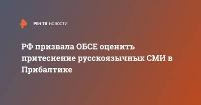 Александр Лукашевич - РФ призвала ОБСЕ оценить притеснение русскоязычных СМИ в Прибалтике - ren.tv - Москва