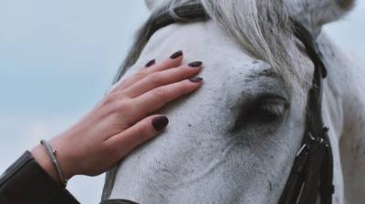 На воронежской молочной ферме лошадь едва не убила рабочего - vestivrn.ru - район Лискинский
