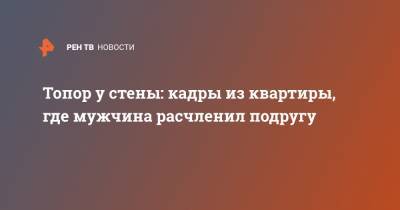 Топор у стены: кадры из квартиры, где мужчина расчленил подругу - ren.tv - Ленинградская обл. - Санкт-Петербург - р-н Всеволожский