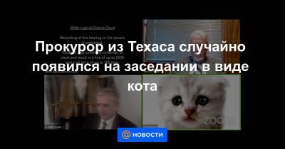 Анна Лысенко - Прокурор из Техаса случайно появился на заседании в виде кота - news.mail.ru - Техас