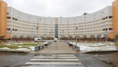 Владимир Григорьев - На больное место: для нового корпуса Боткинской предложили участок в Пушкине - dp.ru - Санкт-Петербург