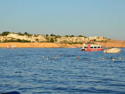 СМИ: Шарм-эль-Шейх обнесли забором из-за соседствующих боевиков - rosbalt.ru - Москва - Египет - Каир