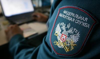 Даниил Егоров - Статус индивидуального предпринимателя в ФНС можно будет получить за несколько минут - newizv.ru