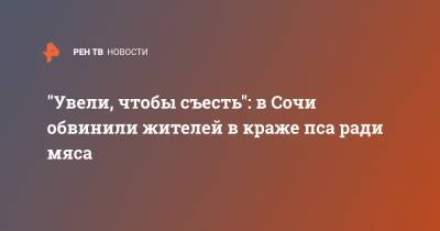 "Увели, чтобы съесть": в Сочи обвинили жителей в краже пса ради мяса - ren.tv - Сочи