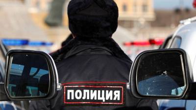 Полиция Сочи начала проверку после сообщений о «съеденном» лабрадоре - gazeta.ru - Сочи - Алтайский край