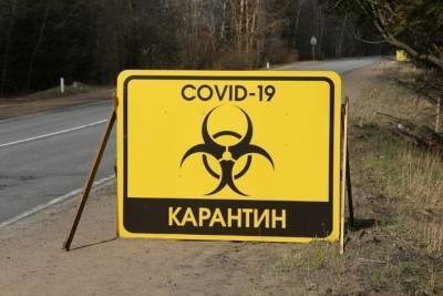 Карантинные ограничения в Костромской области сохранятся и летом - kostroma.mk.ru - Костромская обл. - Кострома