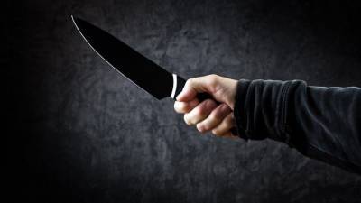Шокирующие детали жестокого убийства и расчленения женщины под Петербургом - 5-tv.ru - Россия - Санкт-Петербург