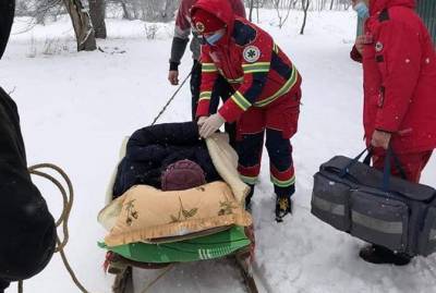 Снегопад на Львовщине: врачам пришлось везли пациентку с инфарктом на санях - kp.ua - Украина - Львовская обл.