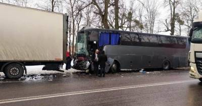 Под Винницей произошла массовая авария: столкнулись два грузовика, автобус и четыре легковушки - tsn.ua - Винницкая обл.