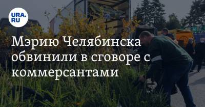 Анна Козлова - Мэрию Челябинска обвинили в сговоре с коммерсантами - ura.news - Челябинская обл. - Челябинск