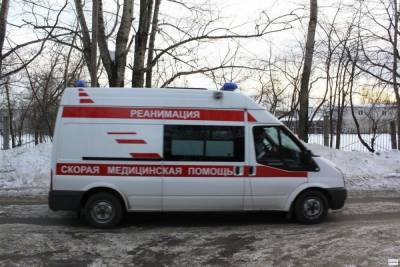 Семья с малолетним ребенком отравилась угарным газом в Татарстане - kazan.mk.ru - респ. Татарстан