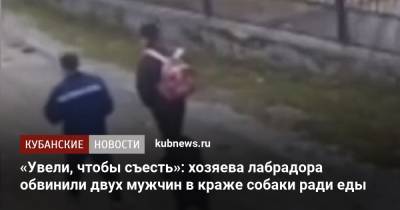 «Увели, чтобы съесть»: хозяева лабрадора обвинили двух мужчин в краже собаки ради еды - kubnews.ru - Сочи