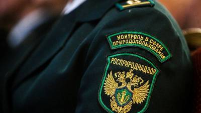 Светлана Радионова - В Росприроднадзоре заявили о необходимости создания нейронной сети по экологии - russian.rt.com