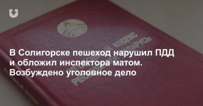 В Солигорске пешеход нарушил ПДД и обложил инспектора матом. Возбуждено уголовное дело - news.tut.by - Солигорск