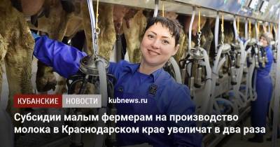 Вениамин Кондратьев - Субсидии малым фермерам на производство молока в Краснодарском крае увеличат в два раза - kubnews.ru - Краснодарский край