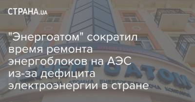 Петр Котин - "Энергоатом" сократил время ремонта энергоблоков на АЭС из-за дефицита электроэнергии в стране - strana.ua