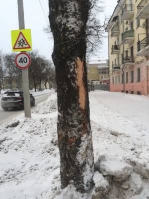 "Магистраль" убирает снег так, чтобы и весной было чем заняться - vologda-poisk.ru - Вологда