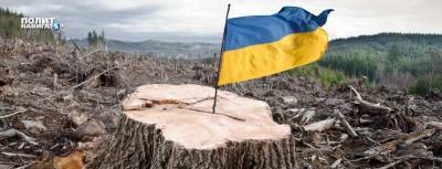 «Украина на этом празднике жизни всяко будет в заднице» - politnavigator.net - Украина - Канада