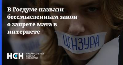 Андрей Свинцов - В Госдуме назвали бессмысленным закон о запрете мата в интернете - nsn.fm