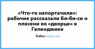 Владимир Путин - Алексей Навальный - Аркадий Ротенберг - «Что-то напортачили»: рабочие рассказали Би-би-си о плесени во «дворце» в Геленджике - forbes.ru - Геленджик