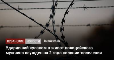 Ударивший кулаком в живот полицейского мужчина осужден на 2 года колонии-поселения - kubnews.ru - респ. Адыгея - район Тахтамукайский