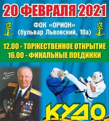 Всероссийские соревнования по кудо пройдут в Ульяновске - ulpravda.ru - Ульяновск