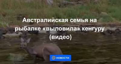 Австралийская семья на рыбалке «выловила» кенгуру (видео) - news.mail.ru - Австралия