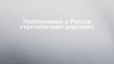 Николай Петров - Электроника в России стремительно дорожает - chelny-izvest.ru