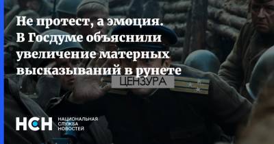 Андрей Свинцов - Не протест, а эмоция. В Госдуме объяснили увеличение матерных высказываний в рунете - nsn.fm