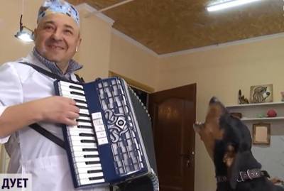 Украинский ветеринар устроил концерт с собакой и стал звездой соцсетей - kp.ua - Берлин - Черновцы