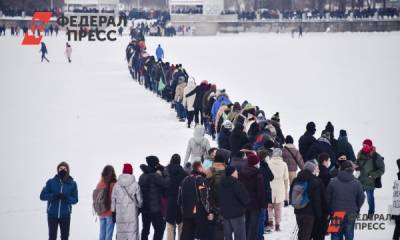 Алексей Навальный - Леонид Волков - Юлия Навальная - Есть ли перспективы у дворового протеста в России 14 февраля. Мнения экспертов - fedpress.ru