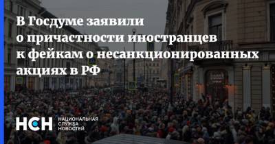 Василий Пискарев - В Госдуме заявили о причастности иностранцев к фейкам о несанкционированных акциях в РФ - nsn.fm - Москва