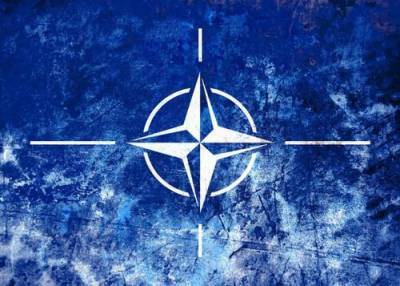 Польские военные учения моделировали войну с Россией - argumenti.ru - США - Белоруссия - Польша - Европа