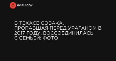 В Техасе собака, пропавшая перед ураганом в 2017 году, воссоединилась с семьей: фото - bykvu.com - Техас